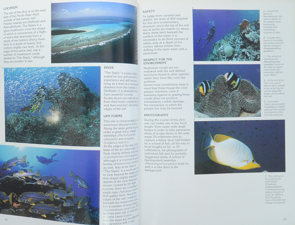 MALDIVES DIVING GUIDE