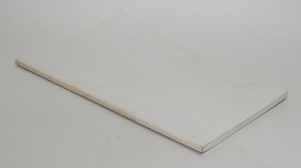 นายวัจน์ อภิบาลภูวนารถ (ระเบียบปฏิบัติของชาวพุทธ)