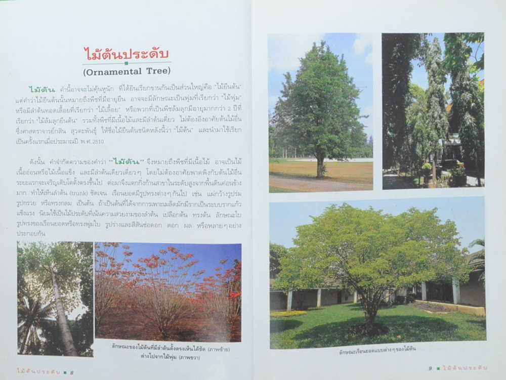 ไม้ต้นประดับ (เล่ม 2) (ขายตามสภาพ)