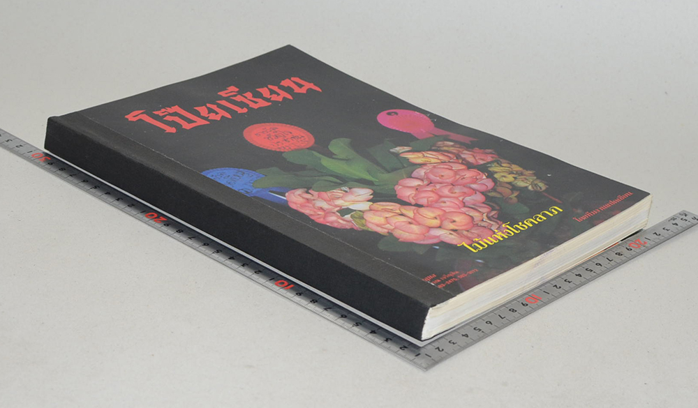 โป๊ยเซียนไม้แห่งโชคลาภ (ขายตามสภาพ)