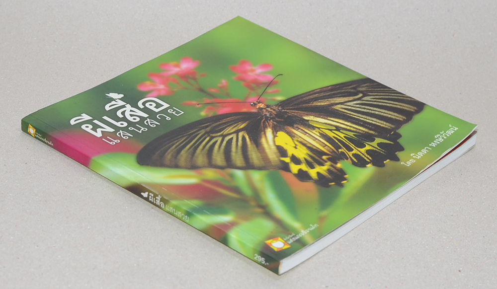 ผีเสื้อแสนสวย