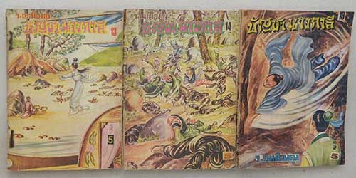 บัญชานางกาลี (19 เล่ม / ไม่จบ)