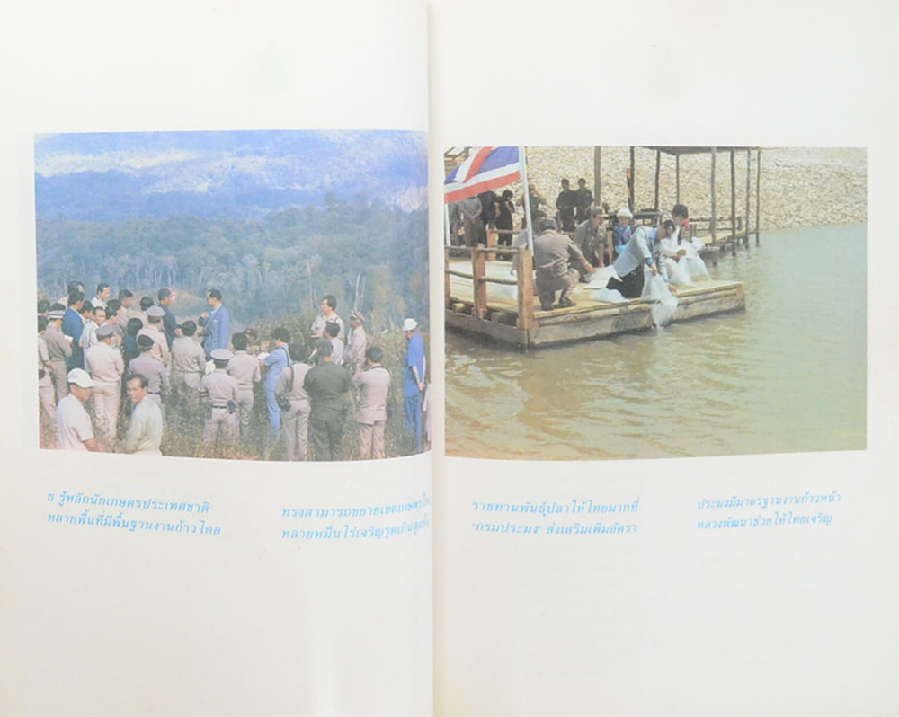 พระราชกรณียกิจ