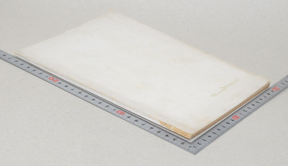 นางสาย เนรมิตไพชยนต์ (จดหมายจากพ่อ)