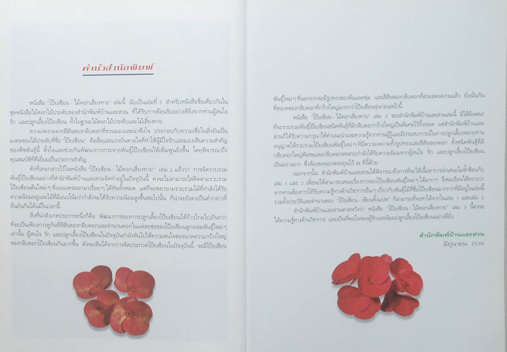 โป๊ยเซียน ไม้ดอกเสี่ยงทาย (เล่ม 3 / ขายตามสภาพ)