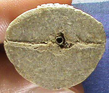 พระปิดตายันต์ยุ่ง เนื้อผงผสมว่าน 108 หลวงปู่พรหมมา เขมจาโร จ.อุบลฯ