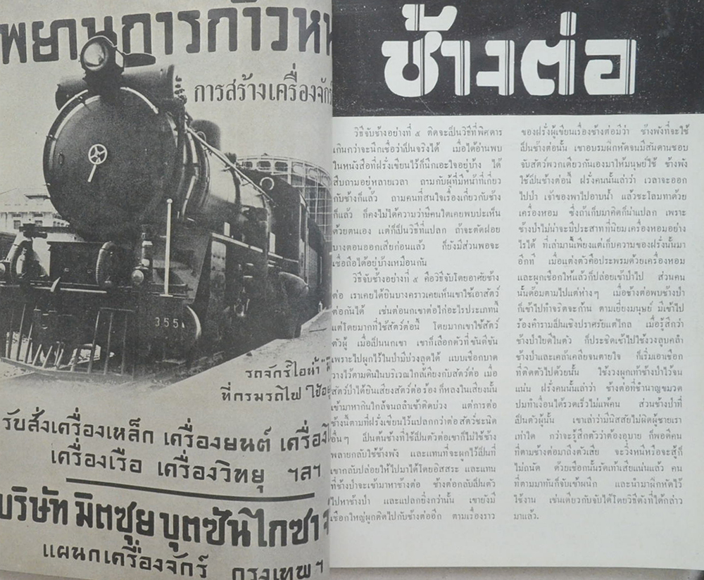 เรื่องของช้าง