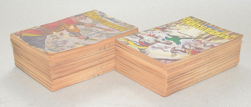 ขุมทองแดนทมิฬ (เล่ม 1-22 / ไม่จบ / ขายตามสภาพ)