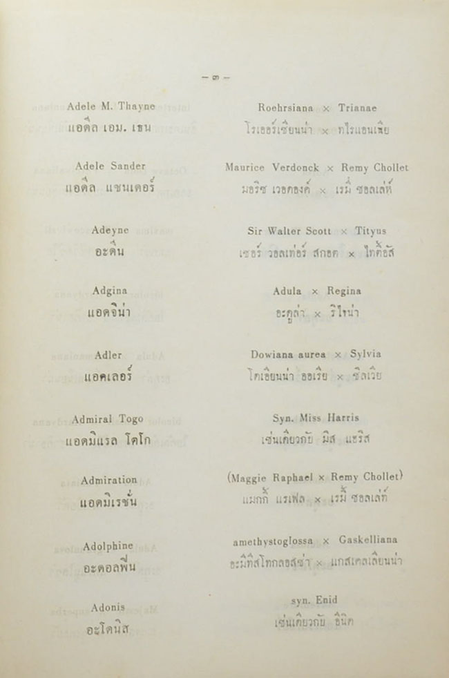 CATTLEYA & LAELIOCATTLEYA