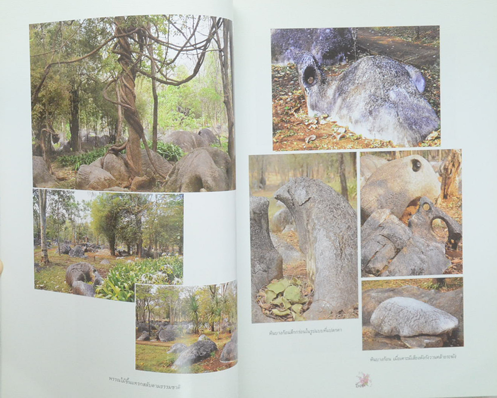 สวนสมเด็จพระศรีนครินทร์ (ขายตามสภาพ)