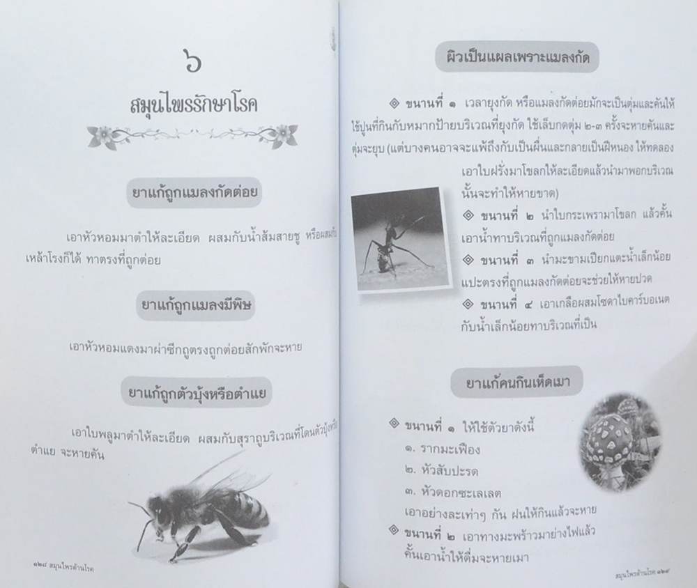 สมุนไพรต้านโรค