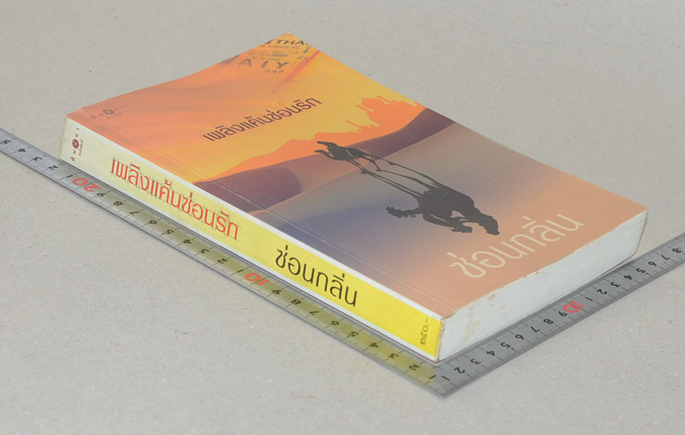 เพลิงแค้นซ่อนรัก (เล่มเดียวจบ)