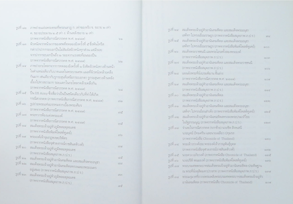 เอกกษัตริย์ใต้รัฐธรรมนูญ (เล่ม 2)