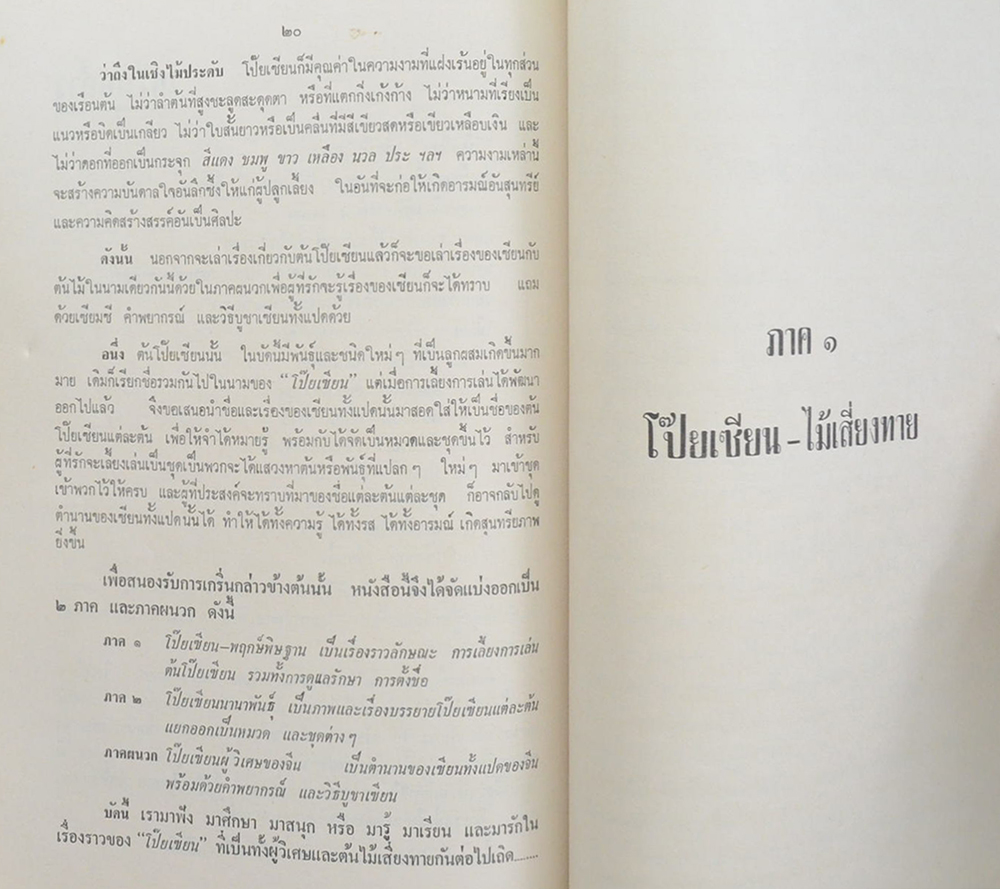 ไม้ดอก-ไม้ประดับ