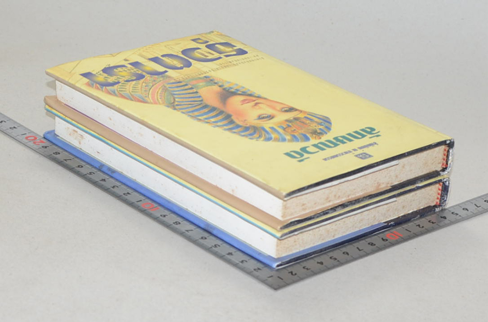 ธุวตารา (2 เล่มจบ)