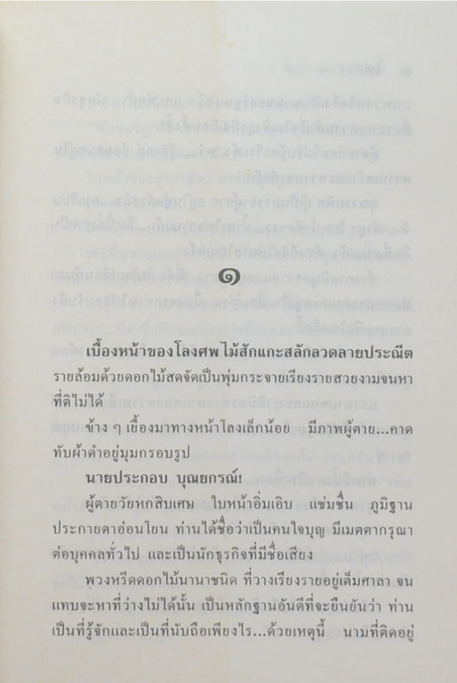 ไฟลวง (2 เล่มจบ)