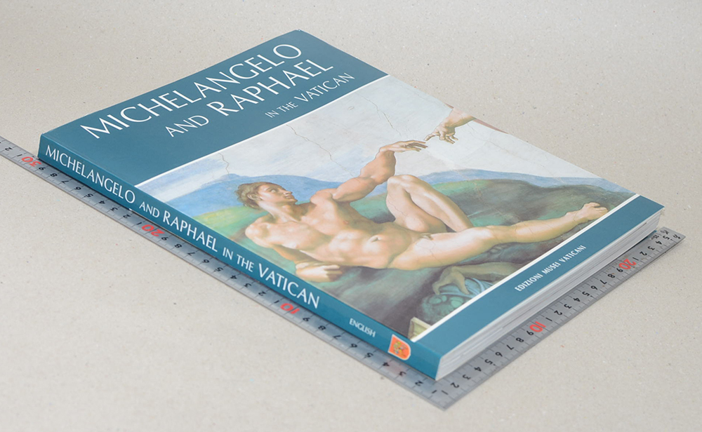 MICHELANGELO AND RAPHAEL IN THE VATICAN