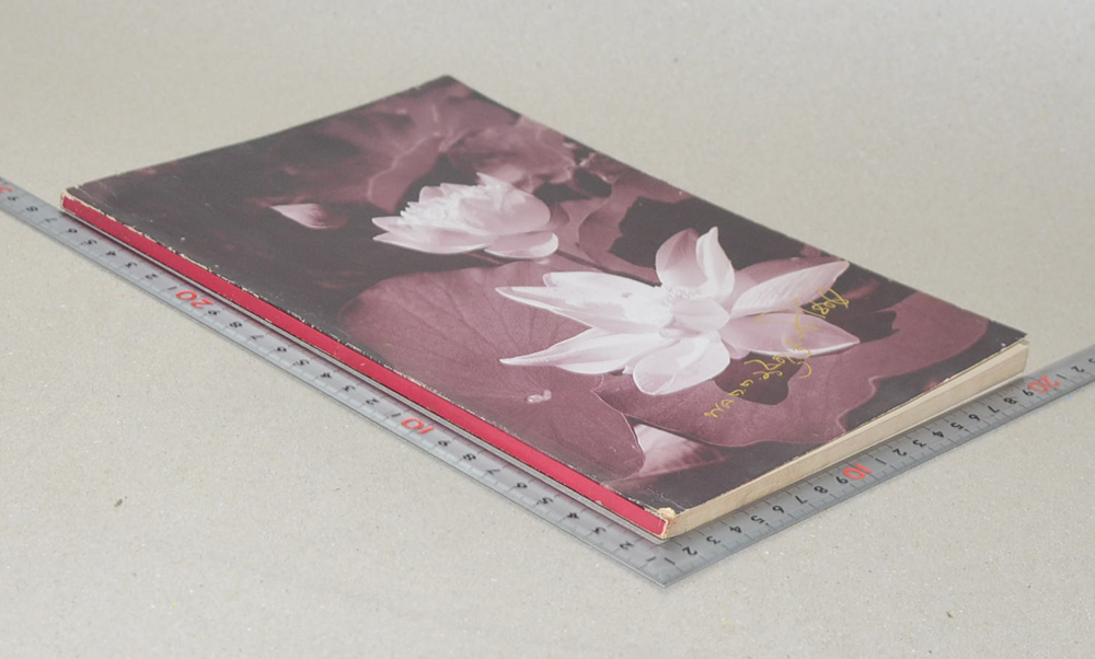 พลตำรวจตรี ฉลอง สุริยะโชติ (สิทธิของข้าราชการที่ได้รับพระราชทานบำเหน็จหรือบำนาญ)