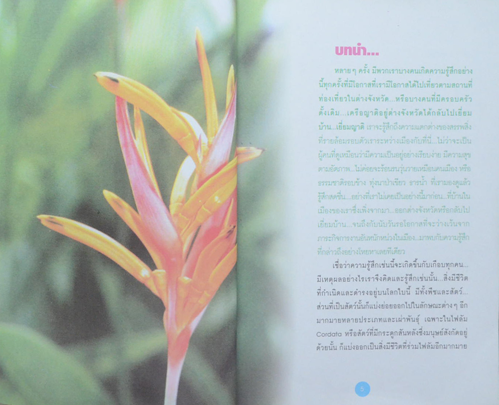 พันธุ์ไม้ในงานจัดสวน ชุดคู่มือการจัดสวนด้วยตนเอง 1