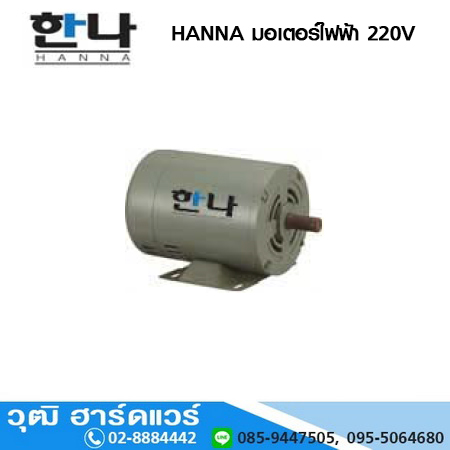 HANNA มอเตอร์ไฟฟ้า 220V