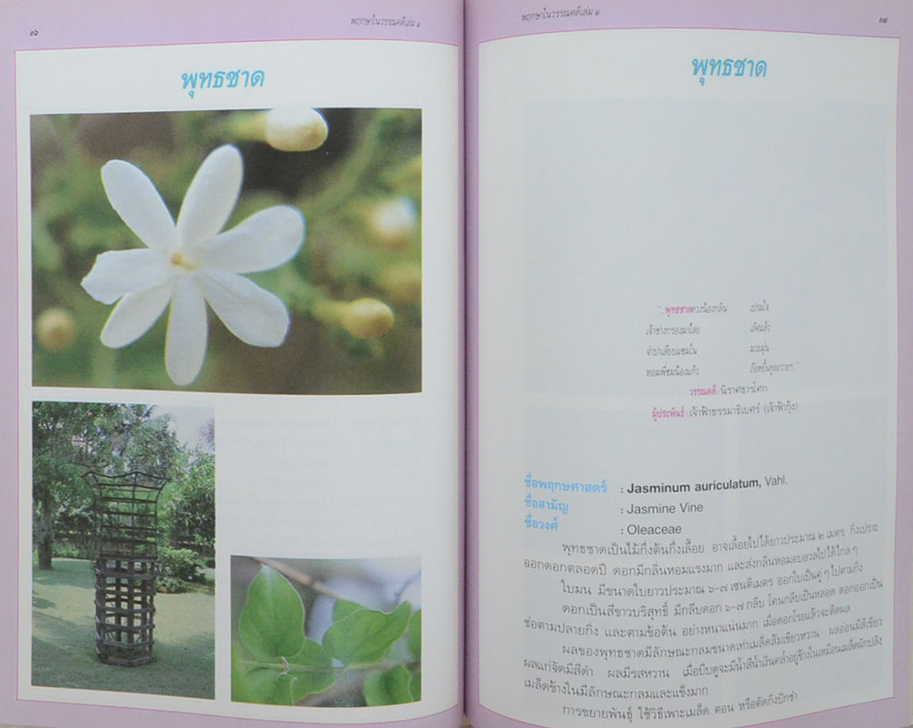 พลตำรวจตรี ฉัตรชัย สงวนหงส์ (สารานุกรมไม้ประดับแห่งประเทศไทย เล่ม 1)