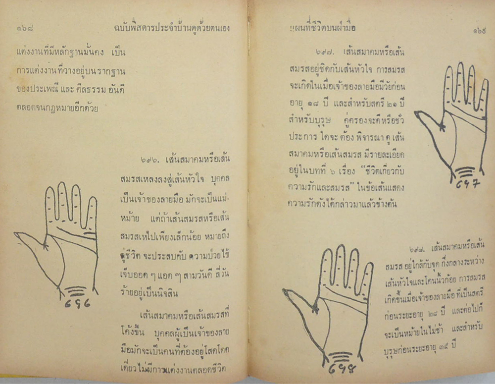แผนที่ชีวิตบนฝ่ามือ (เล่ม 2 ภาคจบ)