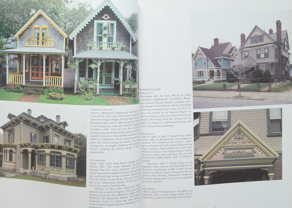 DAUGHTERS OF PAINTED LADIES (ขายตามสภาพ)