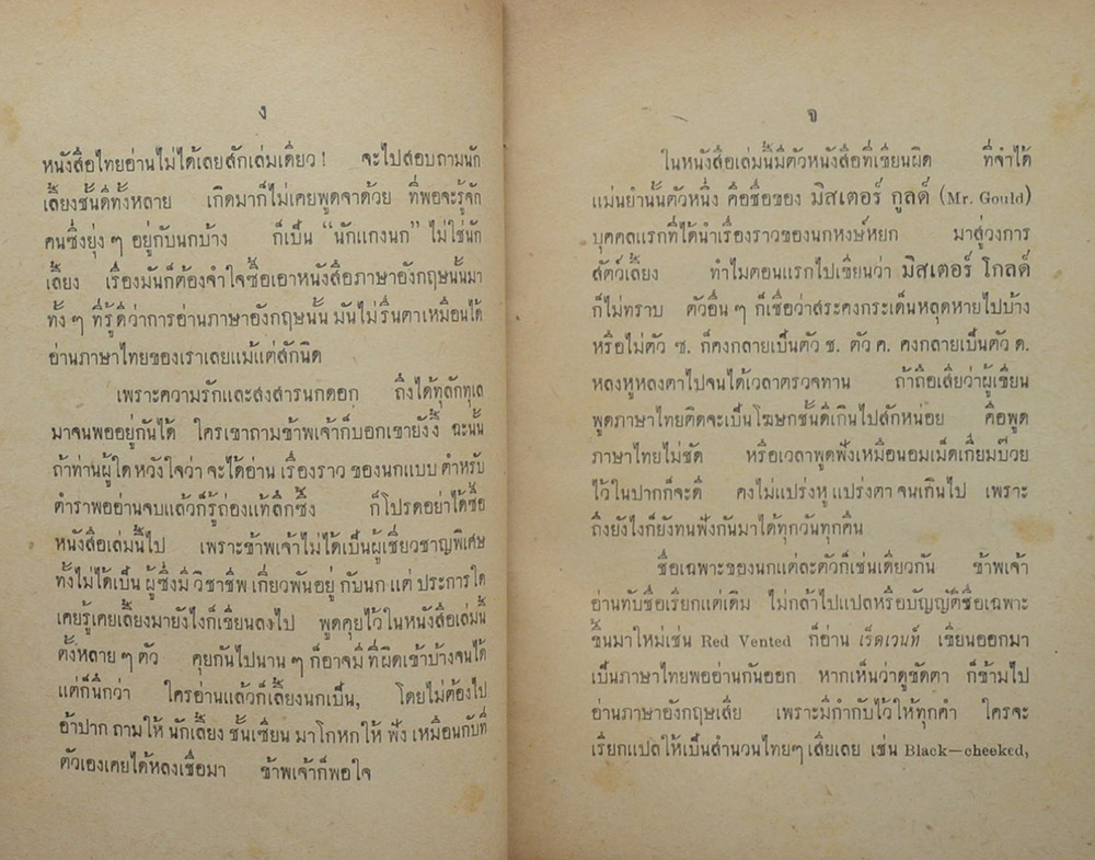 นกเลี้ยง