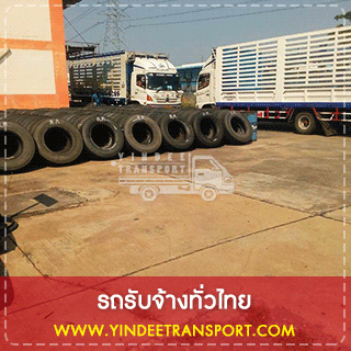 เรายินดีให้บริการขนย้ายสิ่งของทุกอย่างทุกงาน ไม่ว่าจะเป็นขนย้ายเป็นสินค้าขนาดเล็กและสินค้าขนาดใหญ่ที่จำเป็นต้องการมีรถเครนมาช่วยยกสินค้าก็ตาม พร้อมแถมพนักงานยกของให้อย่างมีคุณภาพ