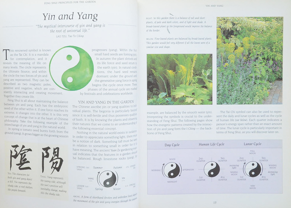 THE FENG SHUI GARDEN