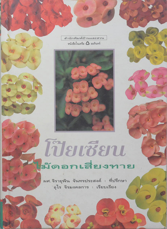 โป๊ยเซียน ไม้ดอกเสี่ยงทาย (ขายตามสภาพ)