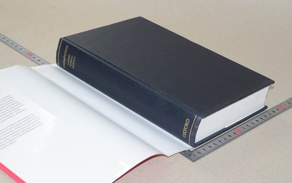 UNEMPLOYMENT Macroeconomic Performance and the Labour Market