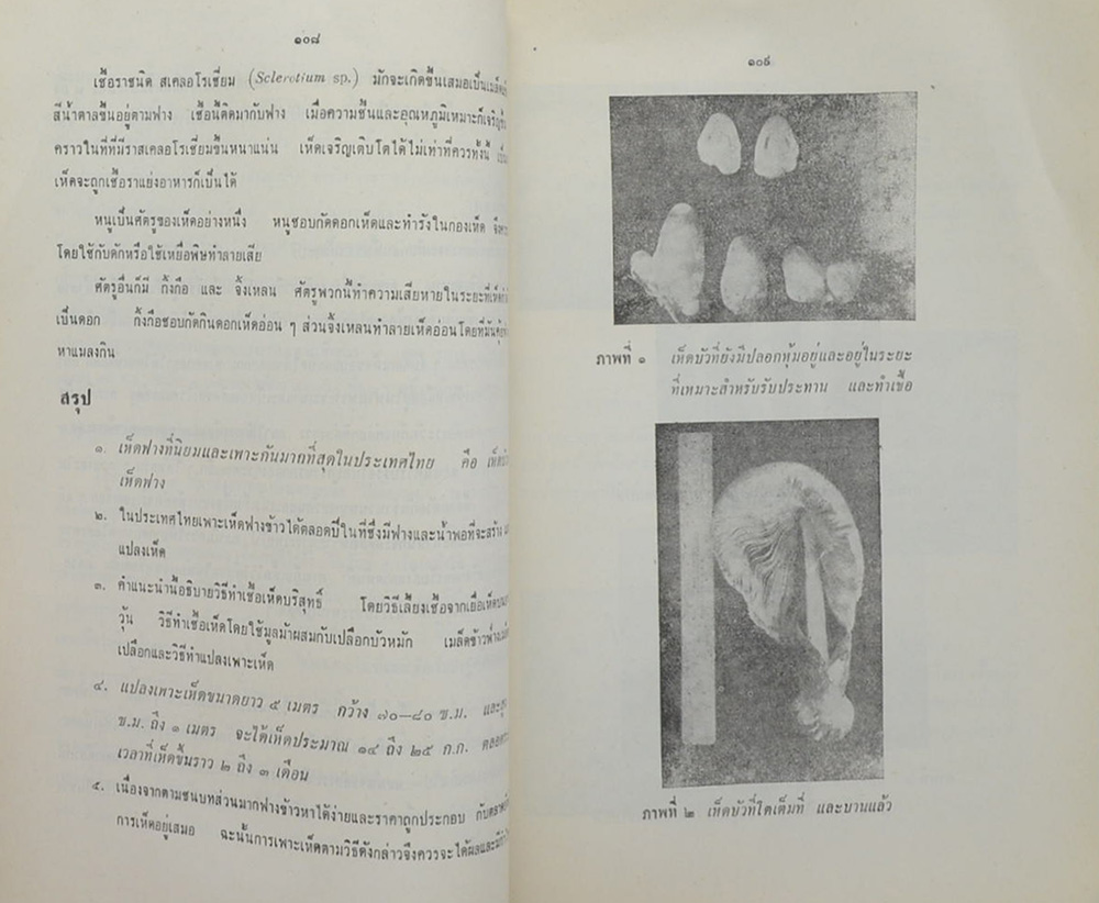 อนุสรณ์ในงานฌาปนกิจศพ คุณป้า เป้า วีระศิริ (เรื่องมะม่วงหิมพานต์)