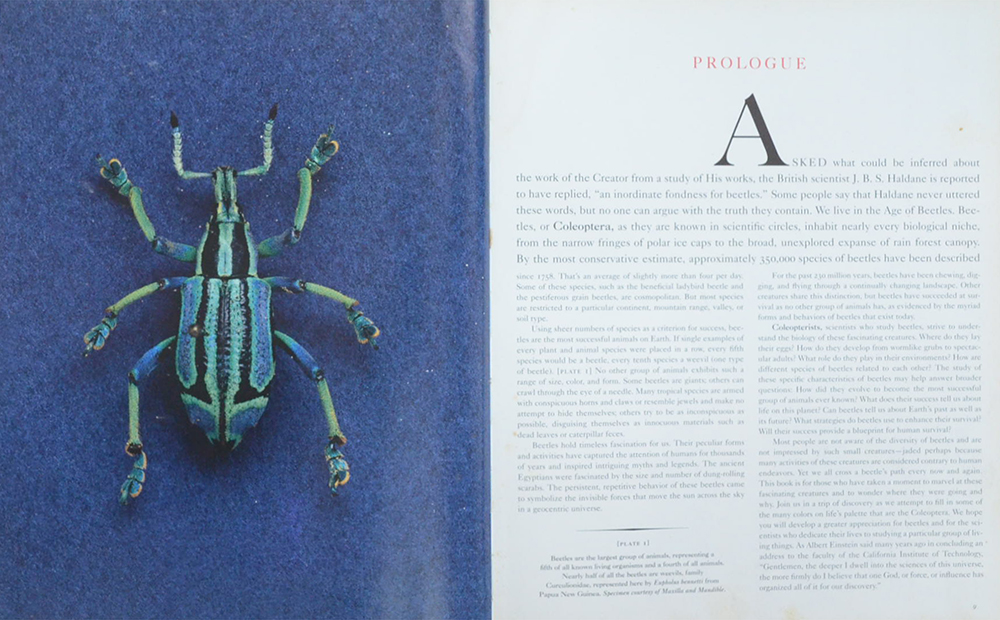 An Inordinate Fondness for Beetles