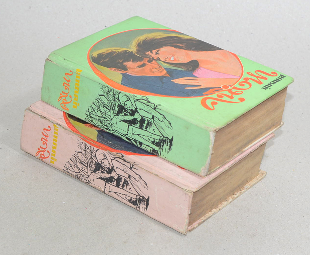 คนึงหา (2 เล่มจบ / เล่มเล็ก)