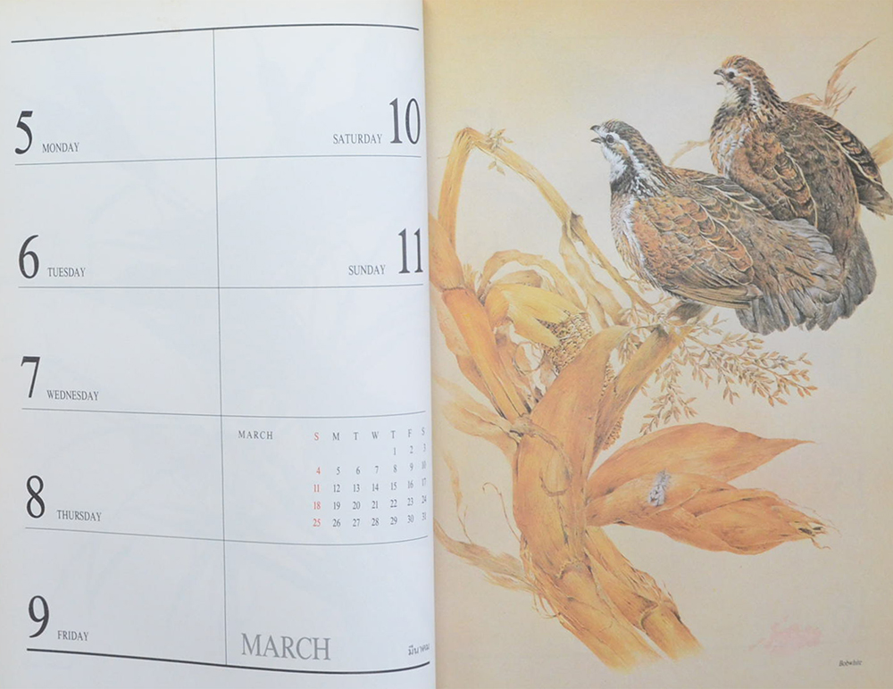 CENTRAL DIARY 1990 Exotic BIRDS (สมุดไดอารี่)