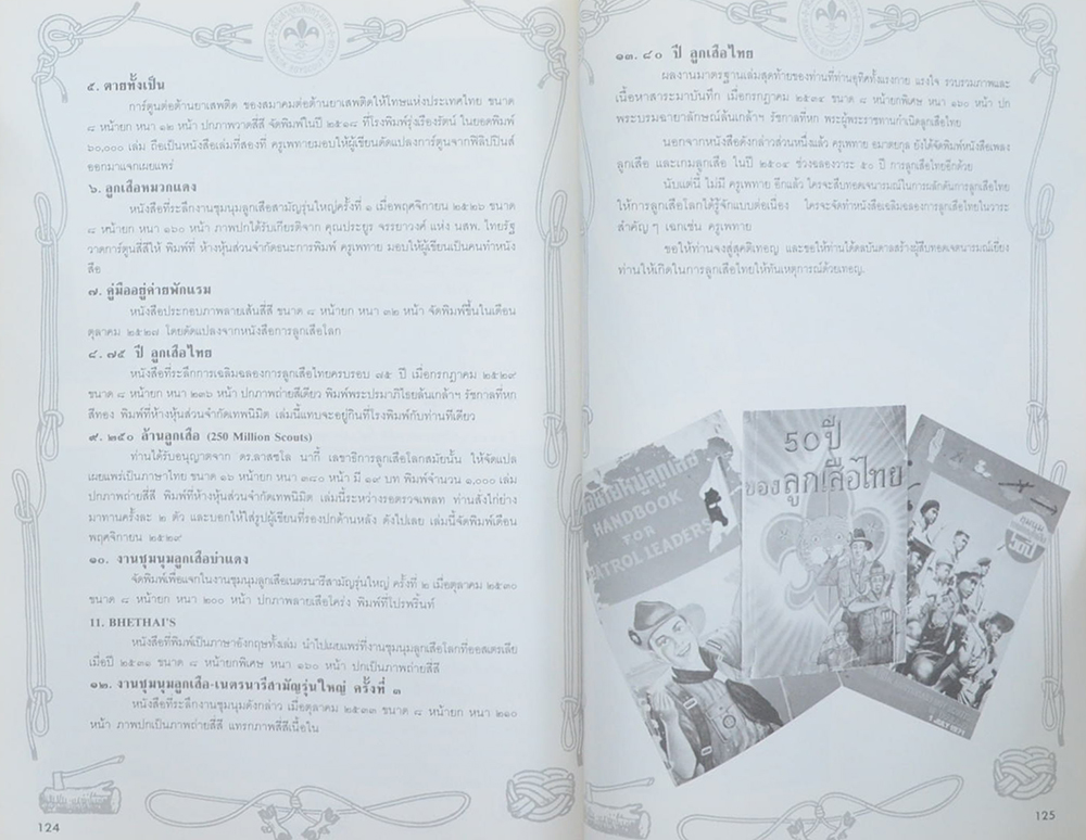 เพทาย อมาตยกุล (ประวัติลูกเสือชาวเขา / ขายตามสภาพ)