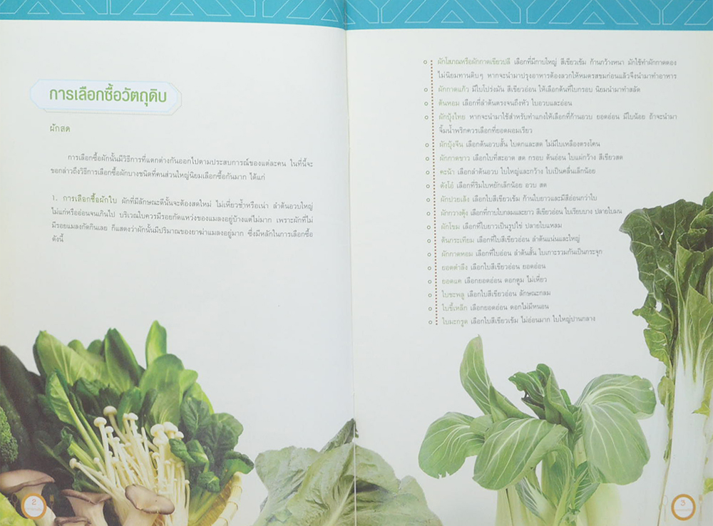 อาหารจานเดียว (พร้อม CD)