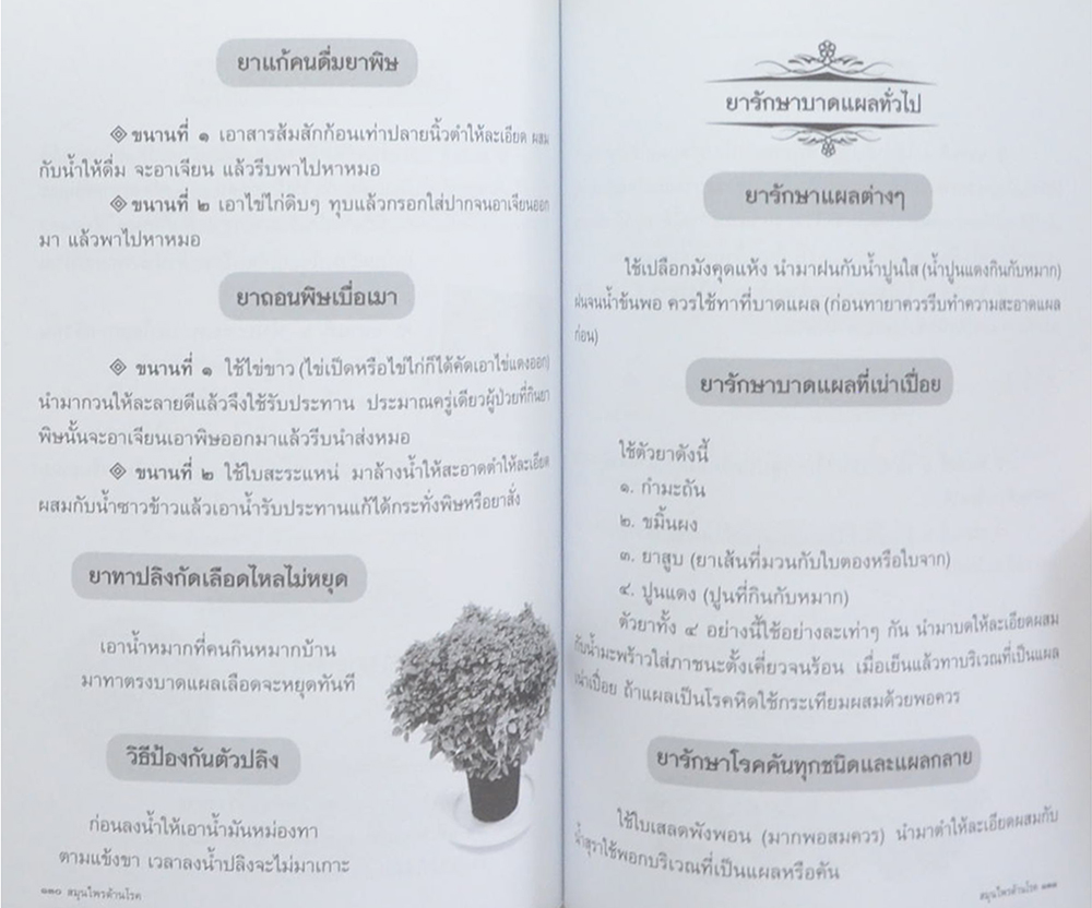 สมุนไพรต้านโรค