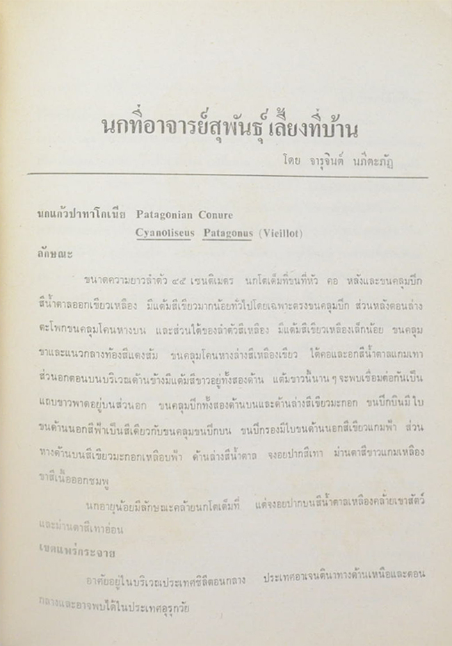 สุพันธ์ โตสุนทร (นก) (ขายตามสภาพ)