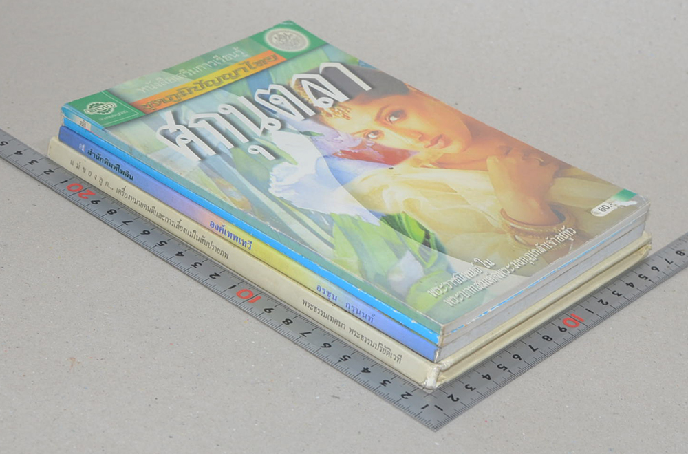 รวมเรื่อง (4 เล่ม)