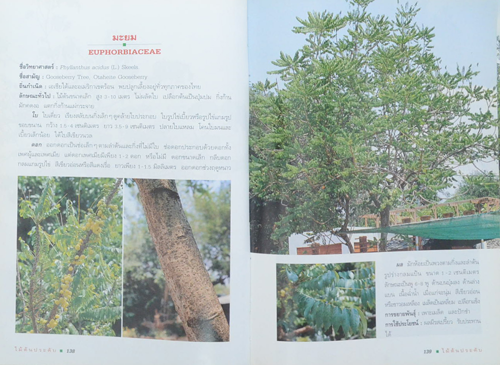 ไม้ต้นประดับ (เล่ม 1) (ขายตามสภาพ)