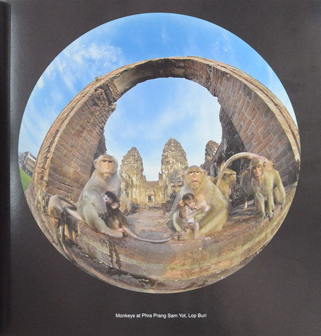 THAILAND 180° (ขายตามสภาพ)