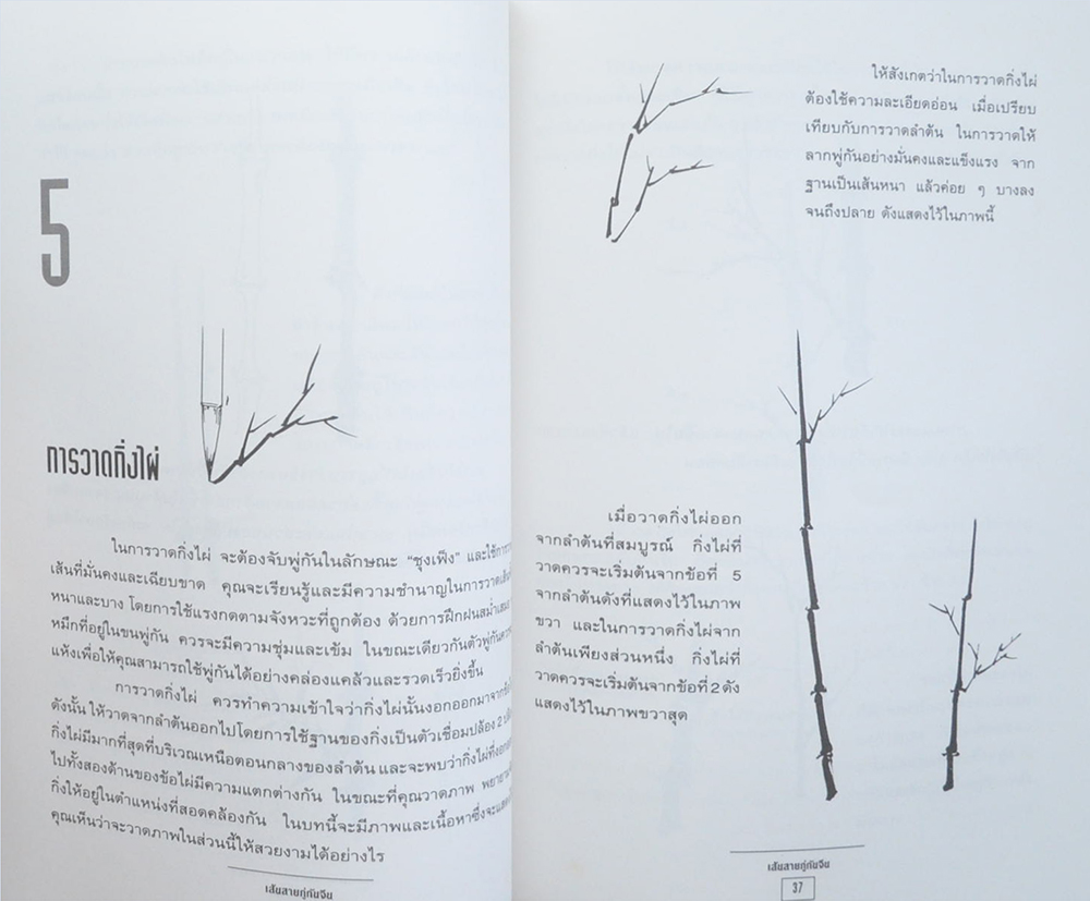 เส้นสายภู่กันจีน