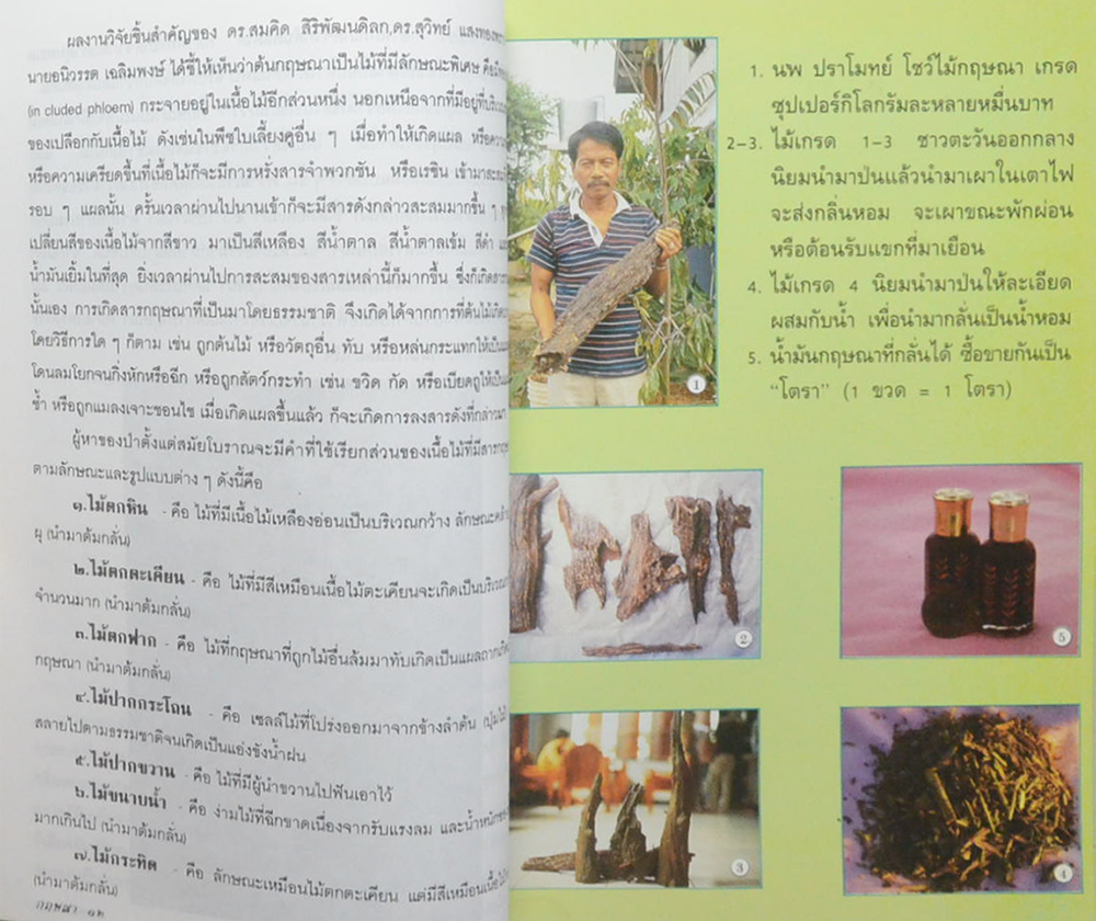 กฤษณา