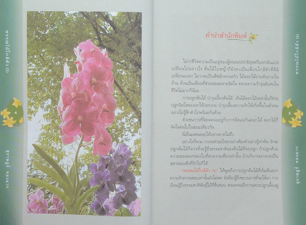 พรรณไม้ใกล้ตัว (ขายตามสภาพ)