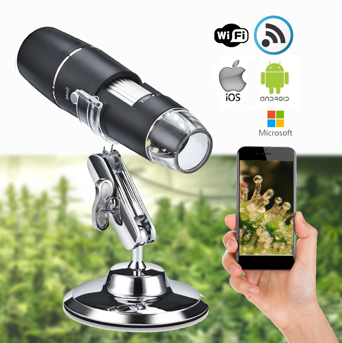 Wifi portable digital microscope 1000X กล้องส่องไตรโคม ซูม 1000 เท่า WiFi ไร้สาย