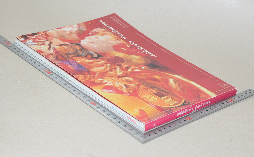 เสน่ห์เมืองจิ๋ว ทำเลมังกรทอง (ขายตามสภาพ)