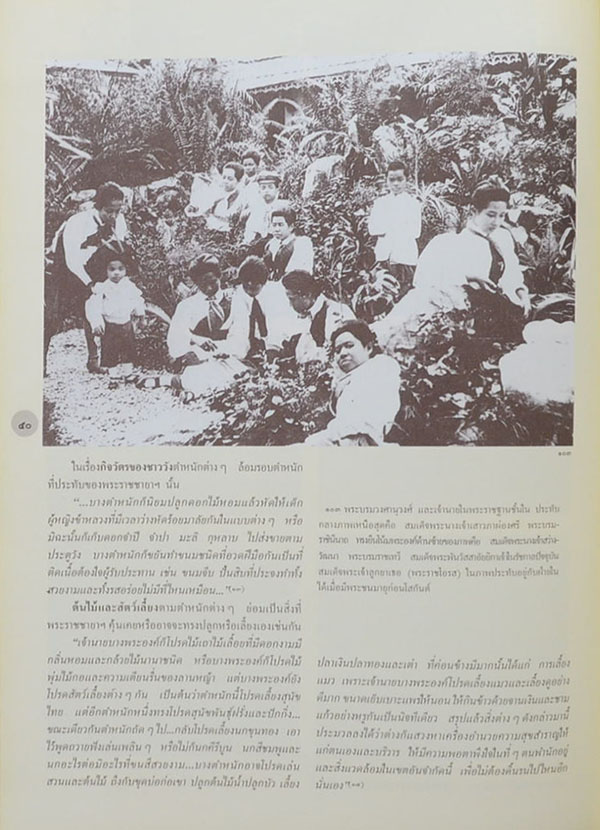 ดารารัศมี