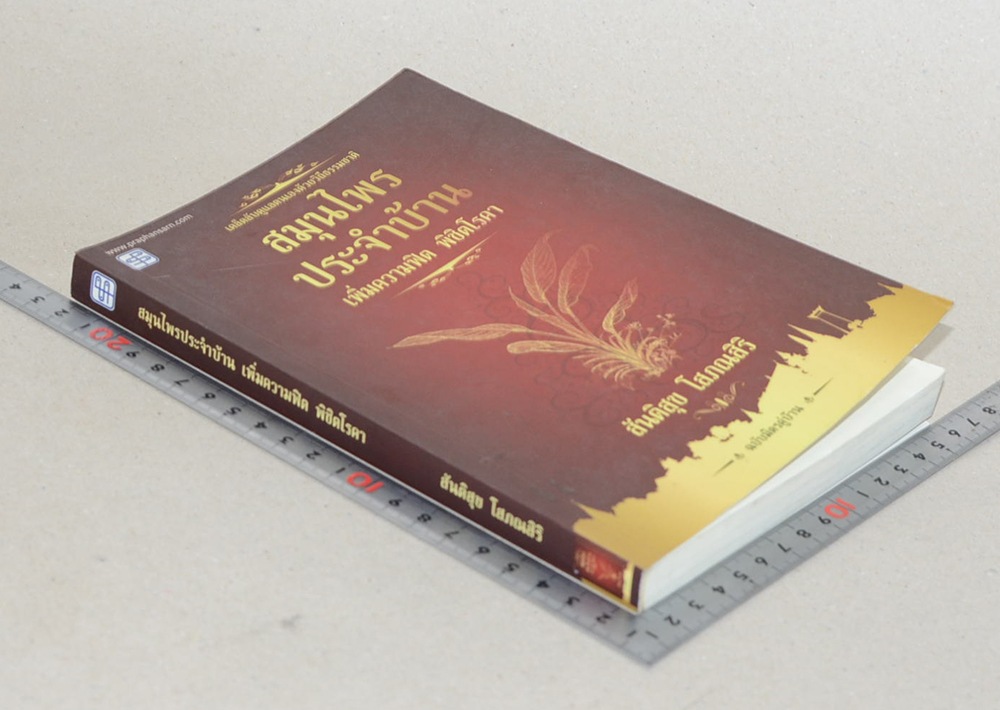 สมุนไพรประจำบ้าน เพิ่มความฟิต พิชิตโรคา